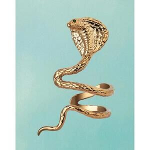 Taylor Swift Reputation Snake Ear Cuff